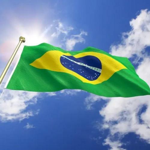 Bandeira do Brasil Sob Medida